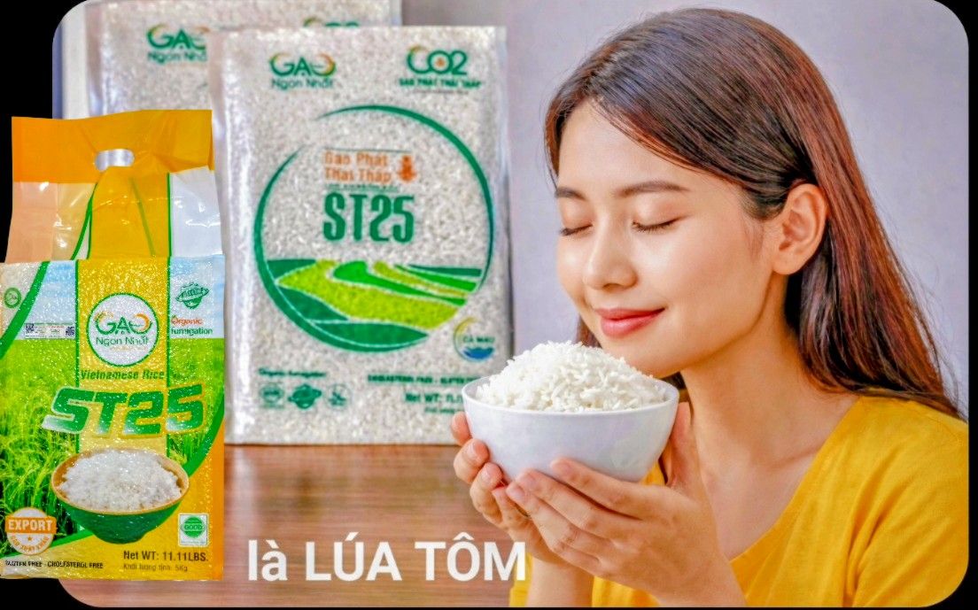 gao-st25-gia-bao-nhieu-bang-gia-moi-nhat-nam-2026 4