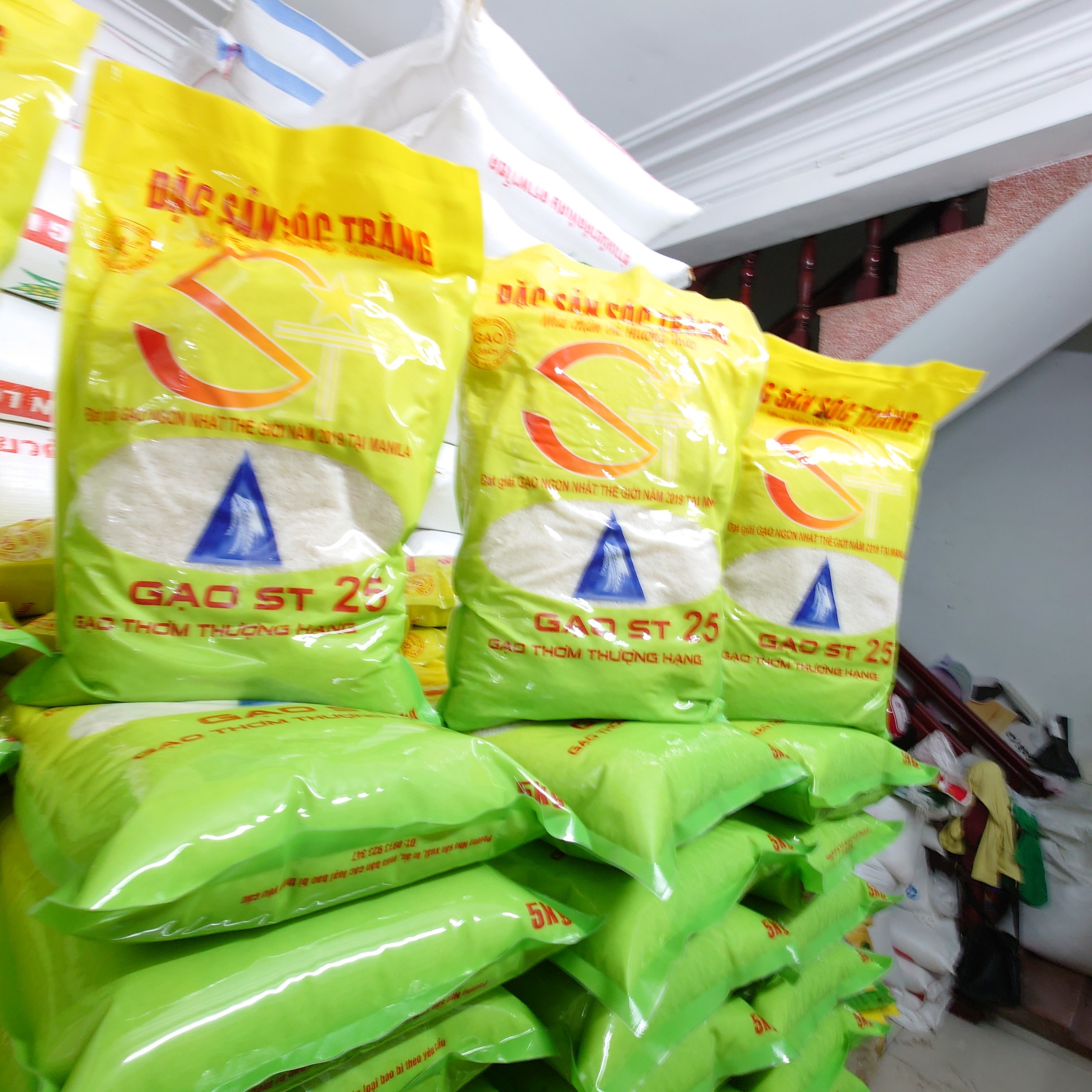 gao-st25-gia-bao-nhieu-bang-gia-moi-nhat-nam-2026 9