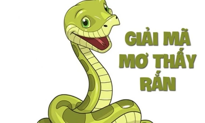 mo thay ran la canh bao gi giai ma diem bao tam linh