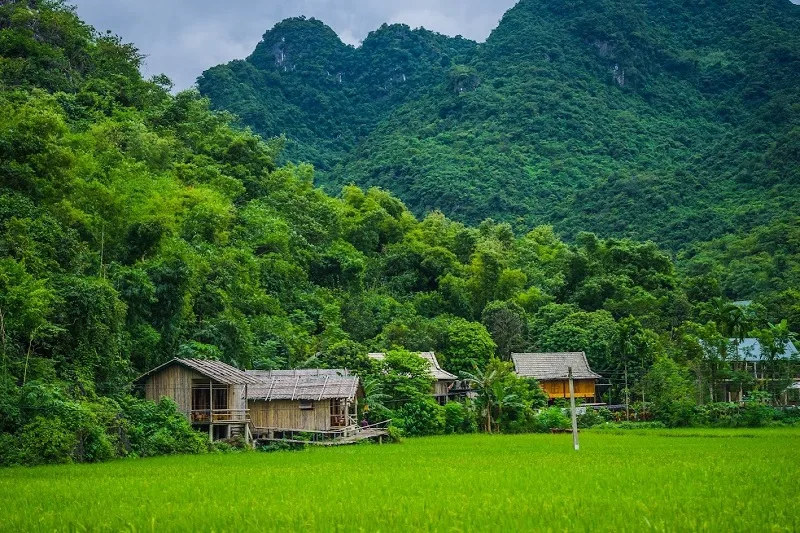 tay bac bao gom cac tinh nao ban do hanh chinh moi nhat sau sap nhap
