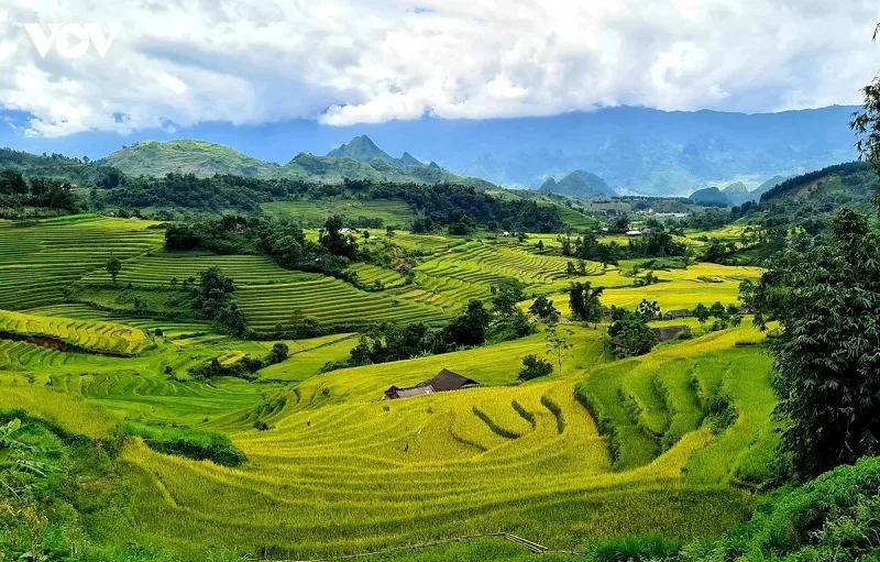 tay bac bao gom cac tinh nao ban do hanh chinh moi nhat sau sap nhap